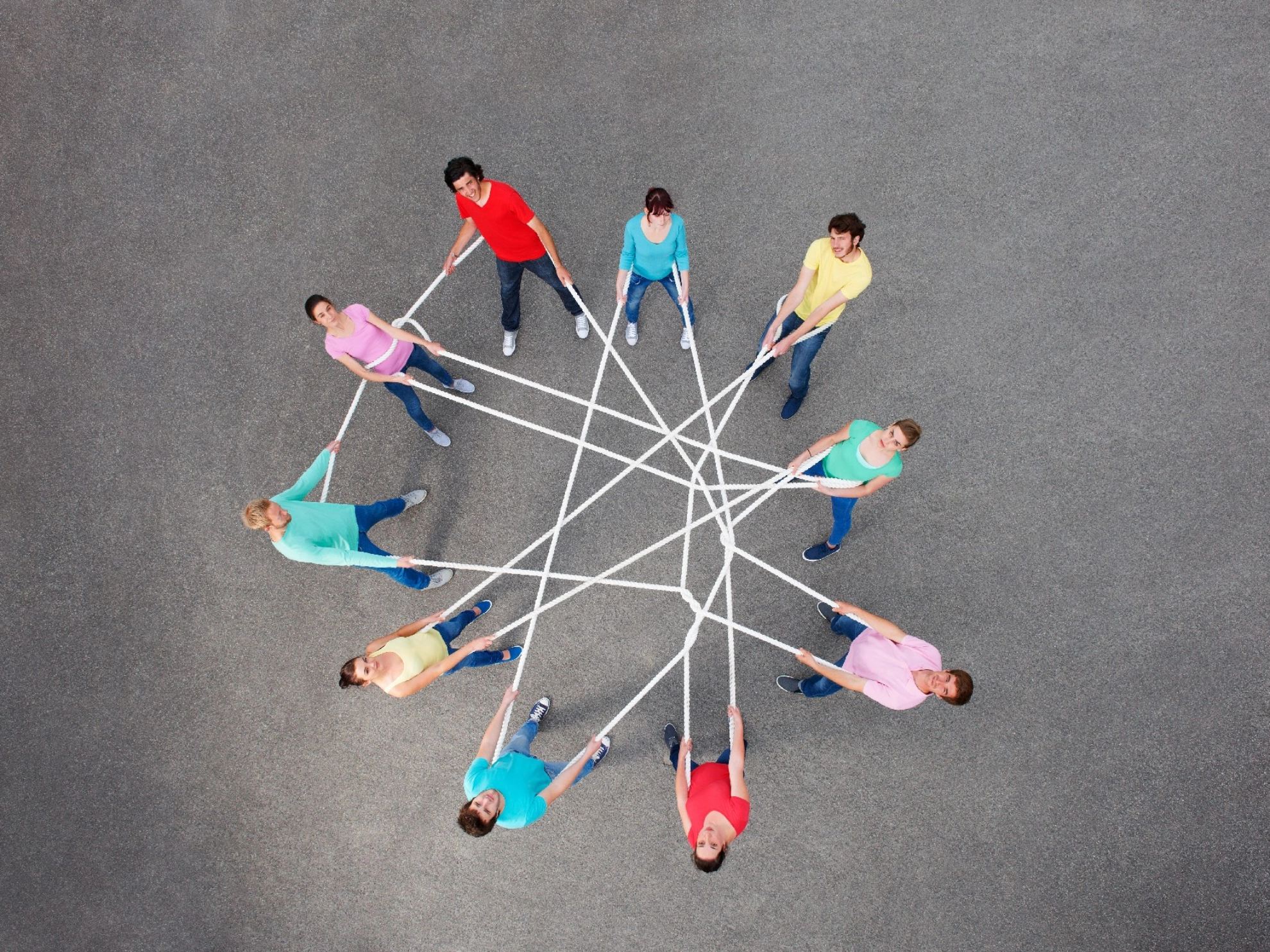 Bildung Netz Team
