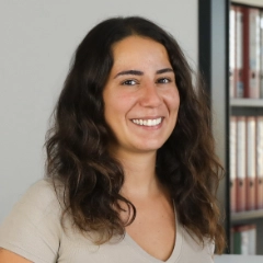 Zilan Kizilates